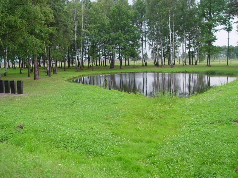 Birkenau Ash pond